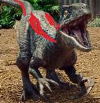 Svl'Pikilis's Avatar